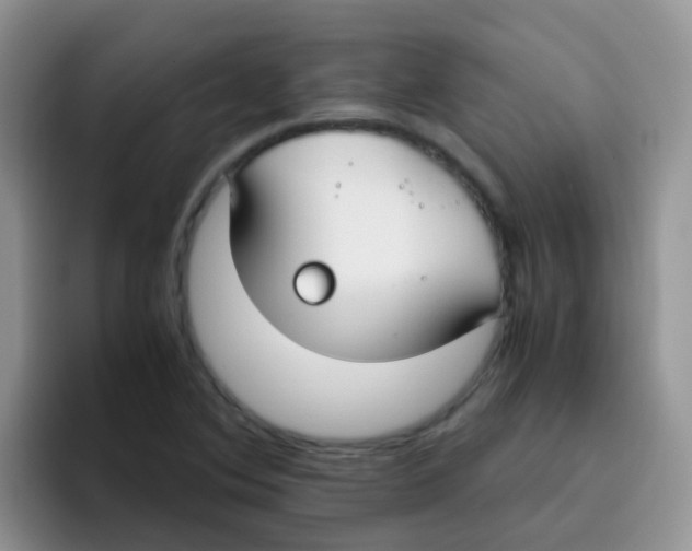 X0000095911364200802081044