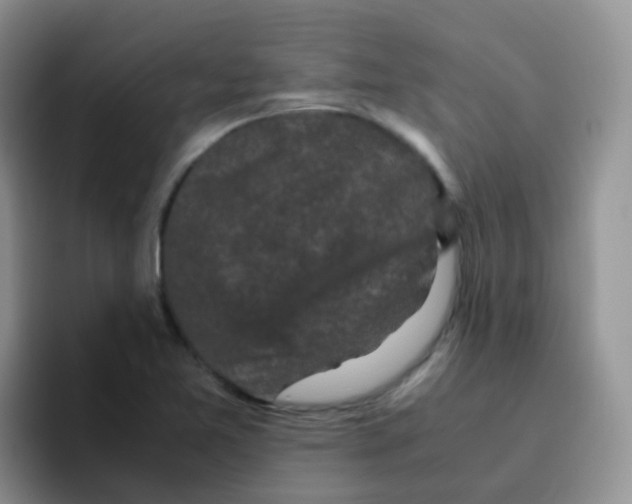 X0000095911365200802081044