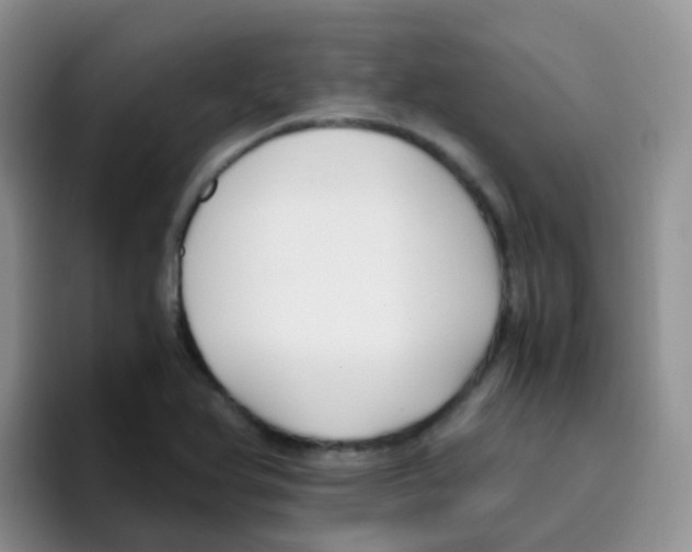 X0000095911366200802081044