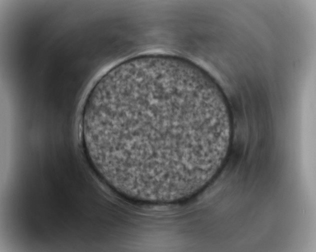 X0000095911367200802081044