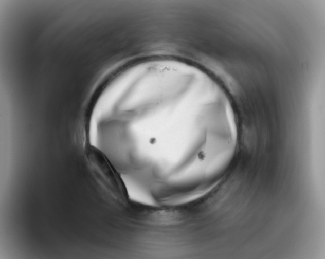 X0000095911368200802081044