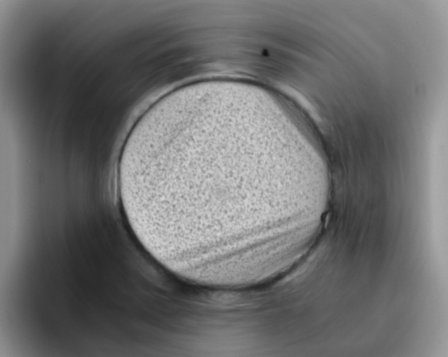 X0000095911371200802081044