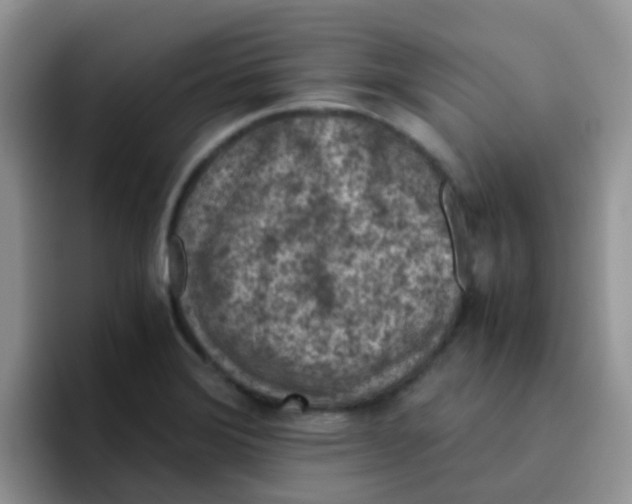 X0000095911372200802081044