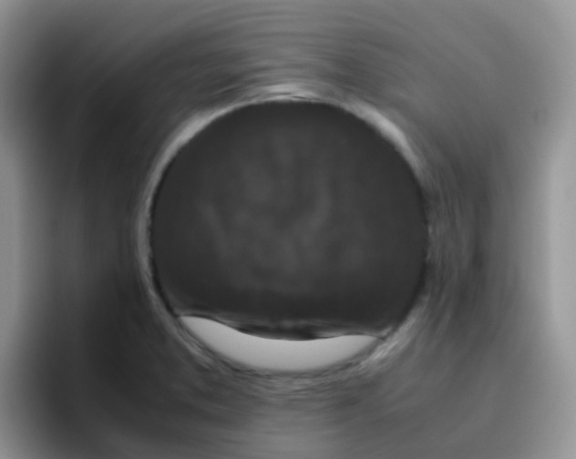 X0000095911373200802081044