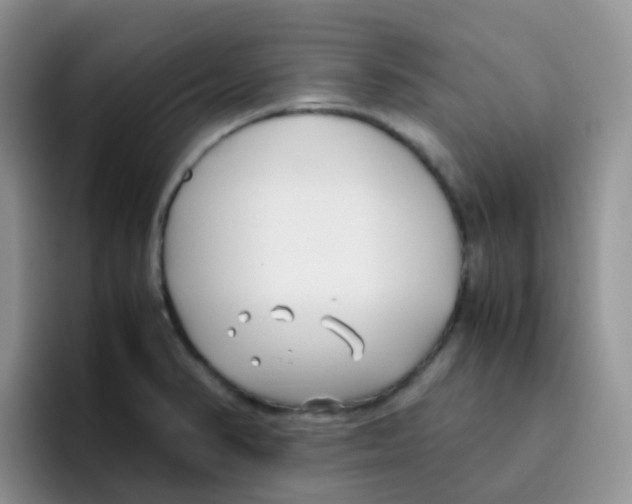 X0000095911374200802081044