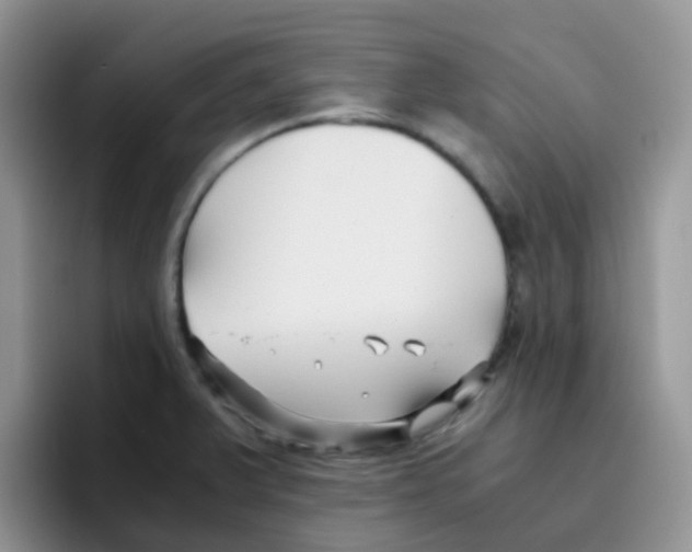 X0000095911375200802081044