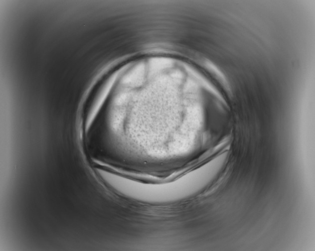 X0000095911376200802081044