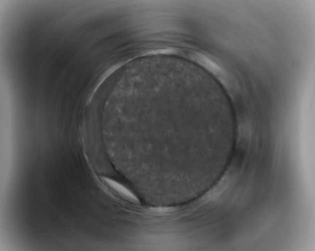 X0000095911377200802081044