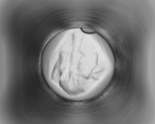 X0000095911378200802081044