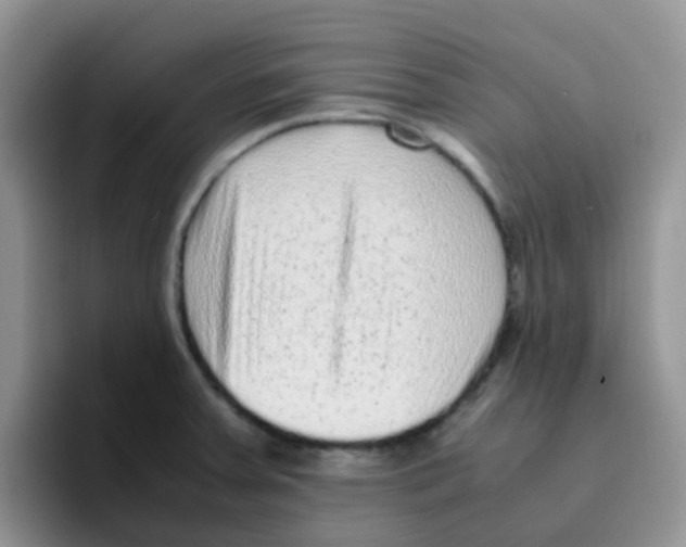 X0000095911379200802081044