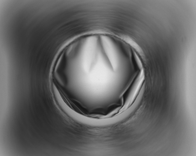 X0000095911380200802081044