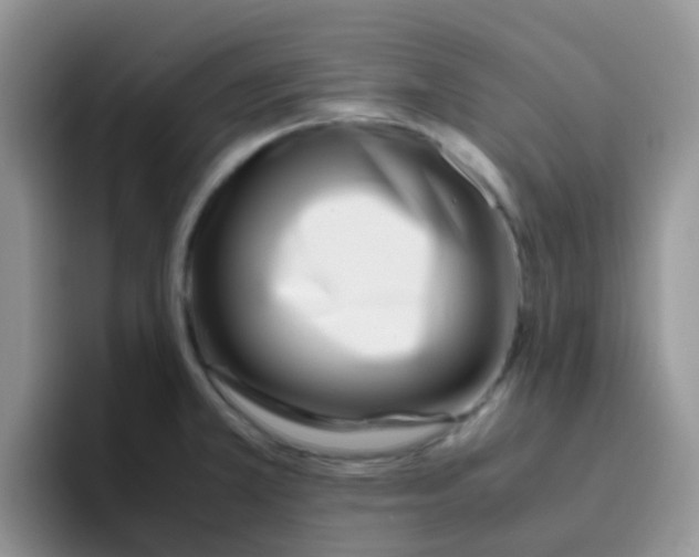 X0000095911381200802081044