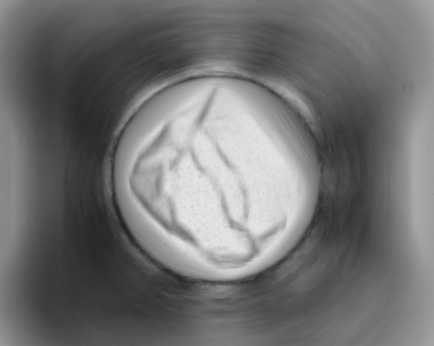 X0000095911382200802081044