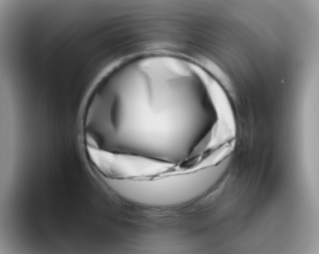 X0000095911384200802081044