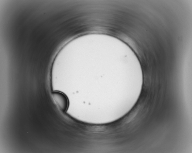 X0000095911387200802081044