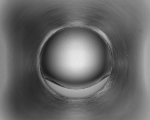 X0000095911389200802081044