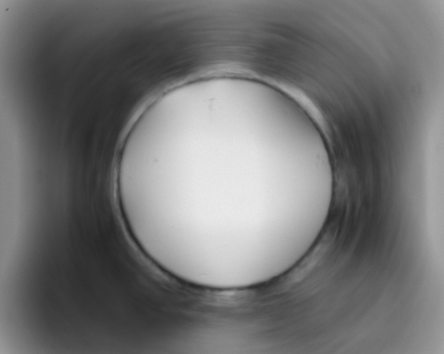 X0000095911390200802081044