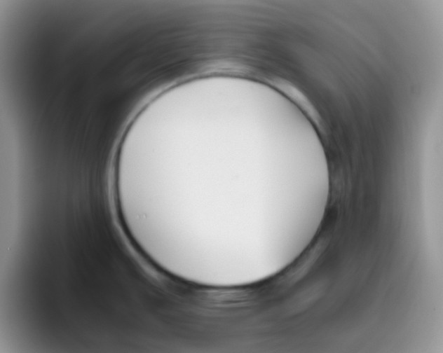 X0000095911391200802081044