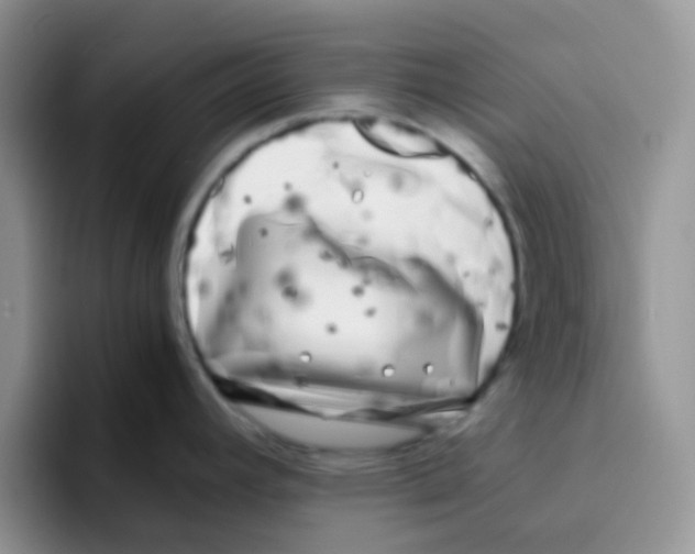 X0000095911392200802081044