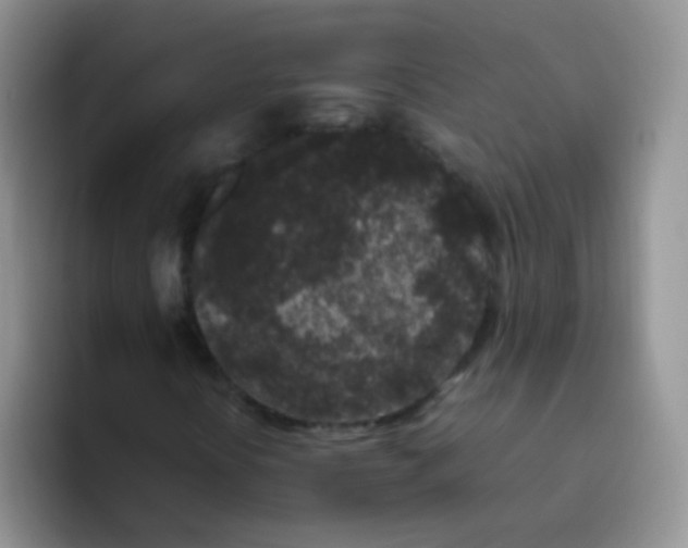 X0000095911394200802081043