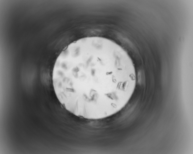 X0000095911395200802081043