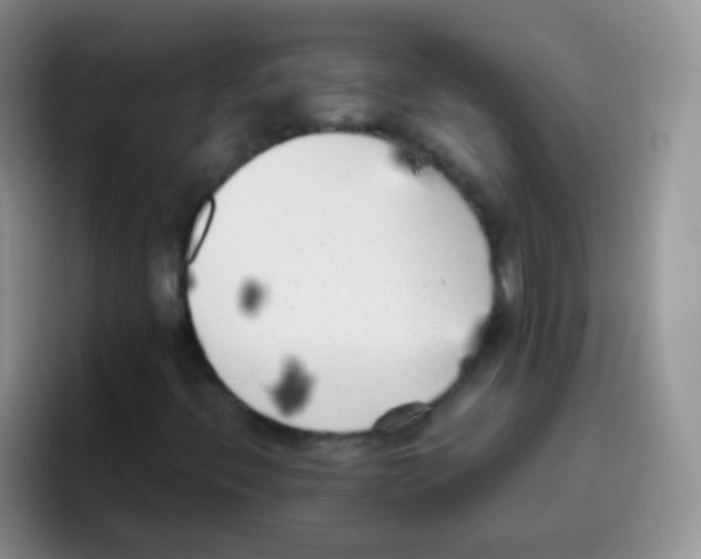 X0000095911396200802081043