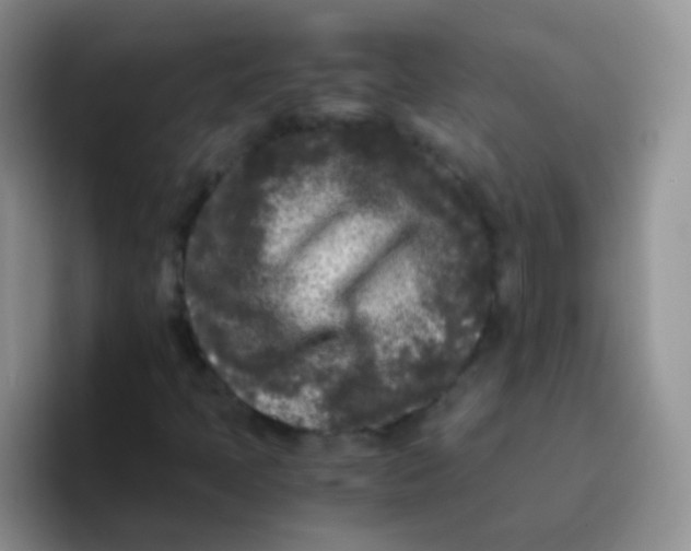 X0000095911397200802081043