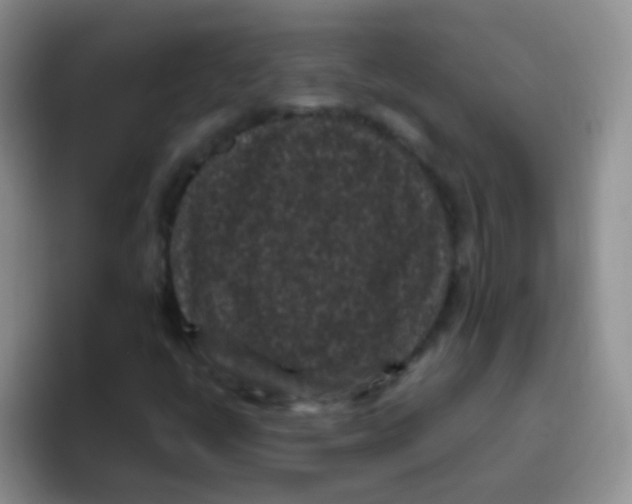 X0000095911398200802081043