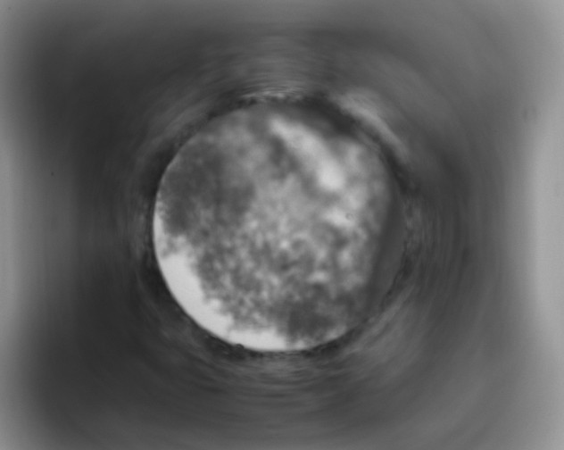 X0000095911399200802081043