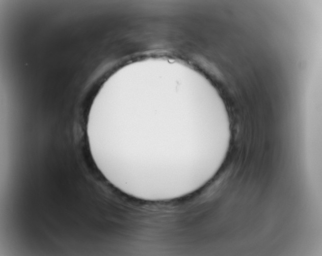 X0000095911400200802081043