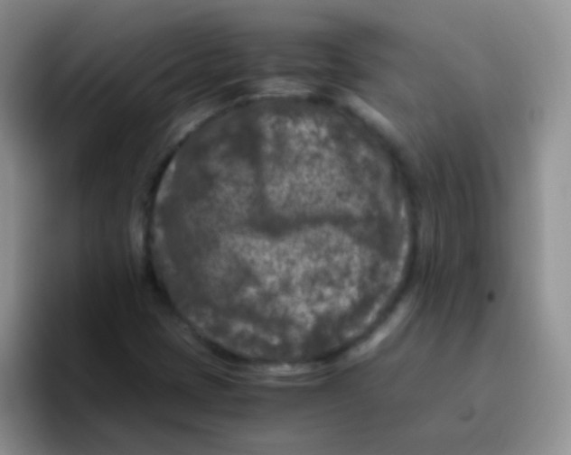 X0000095911401200802081043