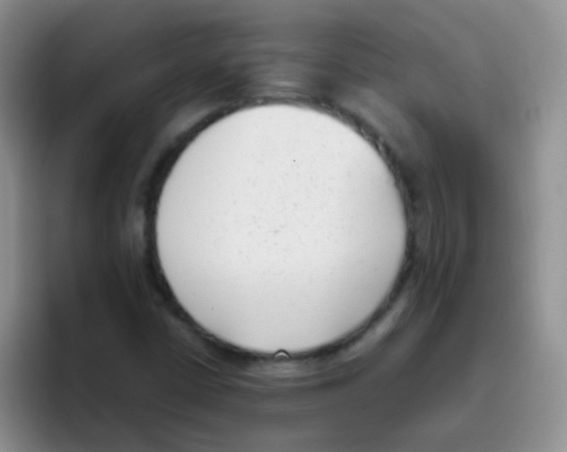 X0000095911402200802081043