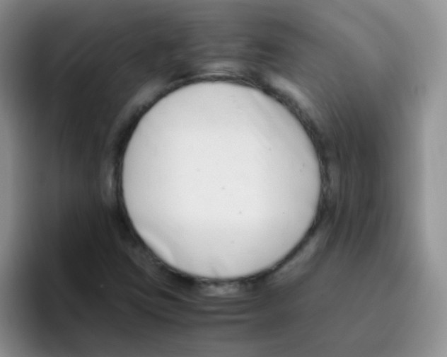 X0000095911403200802081043