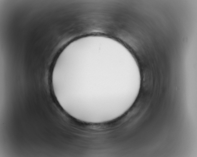 X0000095911404200802081043