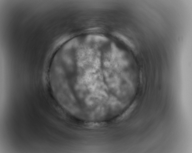 X0000095911405200802081043