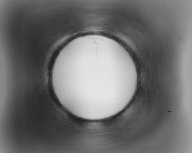 X0000095911406200802081043