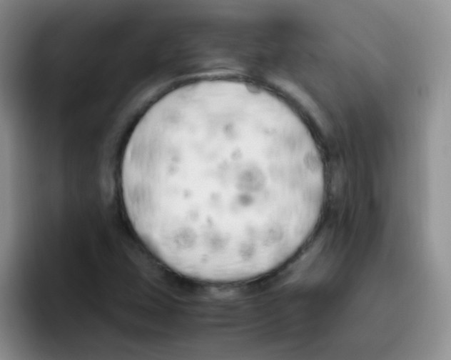 X0000095911407200802081043