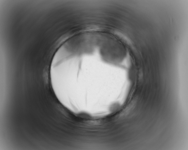 X0000095911409200802081043