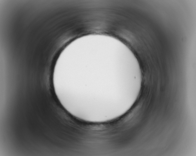 X0000095911410200802081043