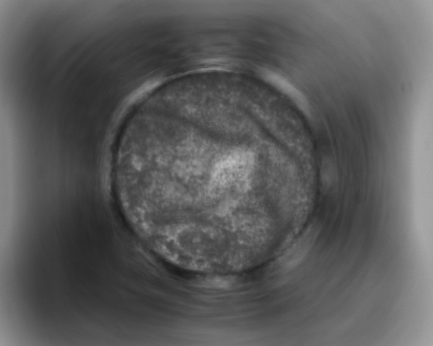 X0000095911411200802081043