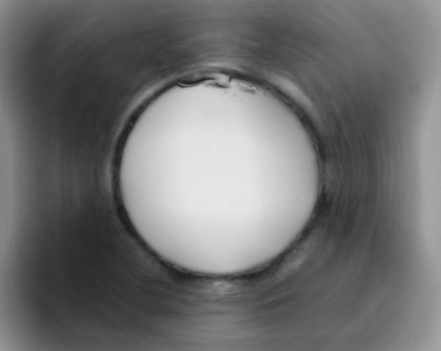 X0000095911412200802081043