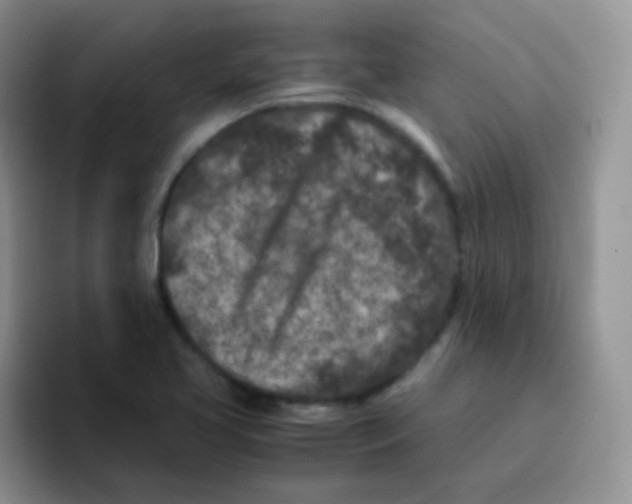 X0000095911413200802081043