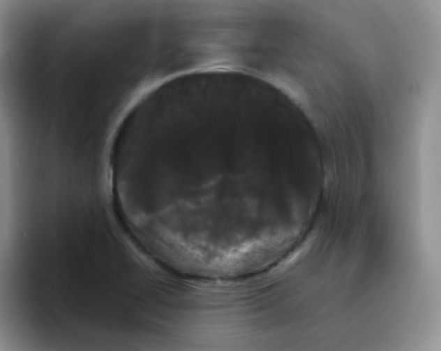 X0000095911414200802081043