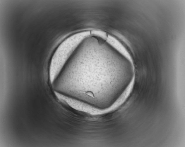 X0000095911415200802081043