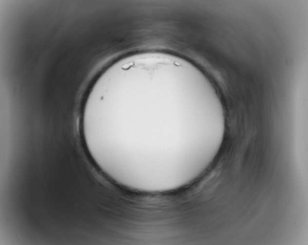 X0000095911416200802081043