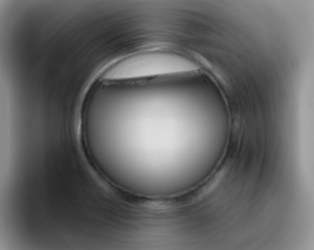 X0000095911418200802081044