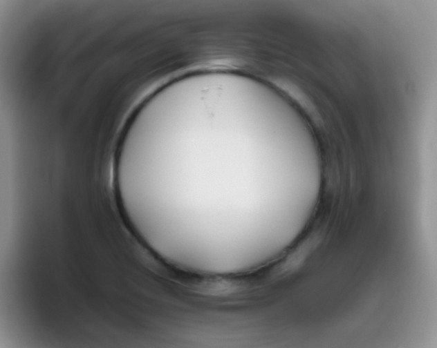 X0000095911420200802081044