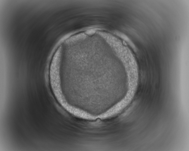 X0000095911421200802081044