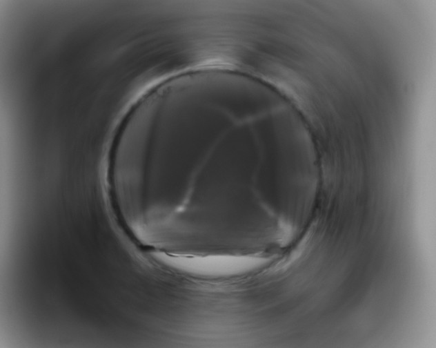 X0000095911422200802081044