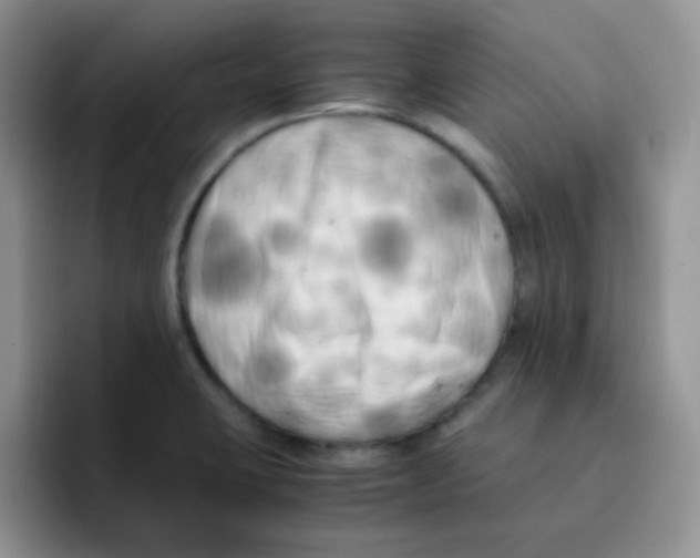 X0000095911423200802081044